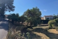 Building plot EZE 3825654_2